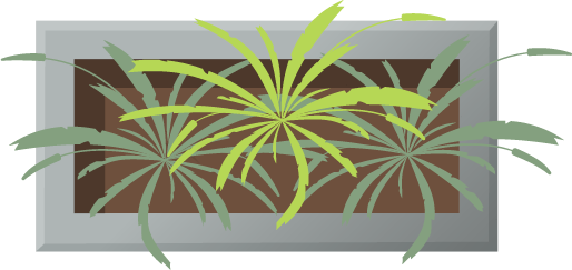 Image of a potted plant