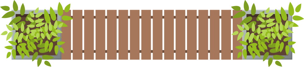 Image of a potted plant