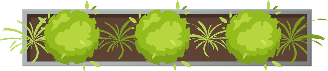 Image of a potted plant