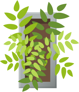 Image of a potted plant