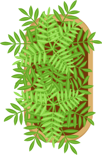 Image of a bush