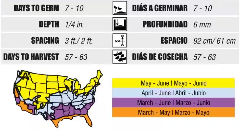 Image of a tomato seed package